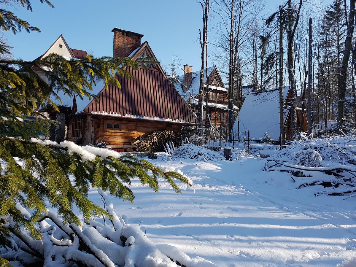 Domek Drewniany Tetmajera Centrum Zakopane Eksteriør bilde